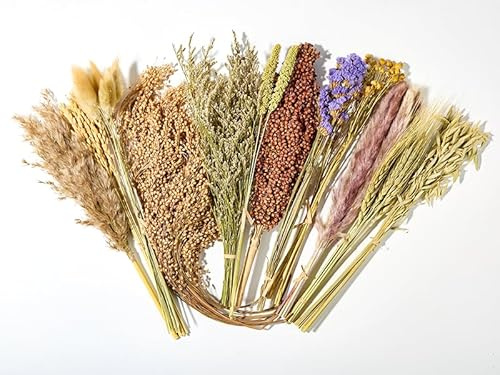 BUCATSTATE 90PCS Natural Hamster Bedding - Flowers & Herbs & Sprays for Cage Habitat Decor | Treat Cereal Grain for Dwarf Syrian Gerbils, Mice, Rat, Forage, Enrichment.