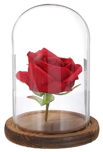 QUARKZMAN Glasglocke Ausstellungsdom 5.9 Zoll x 3.5 Zoll Glasdom Vitrine | Tischglasbehälter Dekorative Glocke, Holzsockel, Für Pflanzen Zuhause Deko Büro Hochzeit Party, Holz