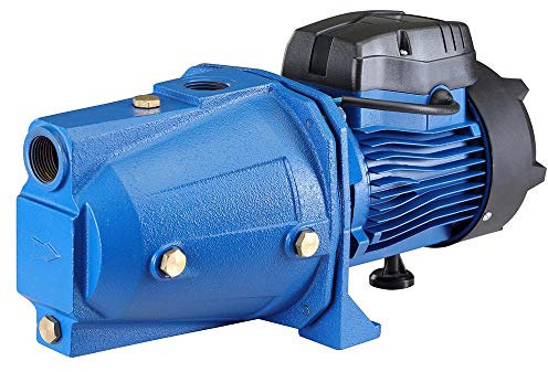 Bakaji Elettropompa Autodescante per Autoclave Periferica Potenza 1 HP (750W) Pompa Motore in Rame Girante in Acciaio Inopx Albero in Acciaio al Carbonio e Corpo in Ghisa Portata Massima 50L/min