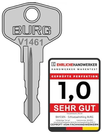 bayesen - Ersatzschlüssel Kompatibel mit BURG-WÄCHTER Schlüssel - Original Kopfform und 100% Kompatibel - Schlüssel nach Code V1195 für Briefkasten Hebelzylinder Möbel etc.