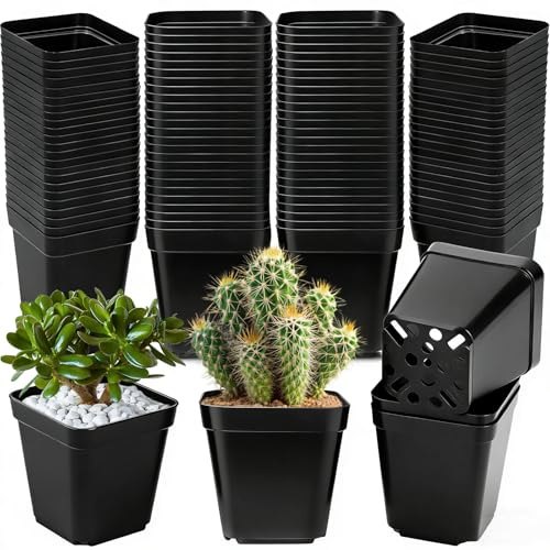 NXPZ 100 Pezzi Vasetti per Piantine 7 cm, Vaso di Plastica Quadrato per Piante, Vasi Riutilizzabili per Semina, Adatti per Succulente, Fiori, Verdure, Giardinaggio, Trapianto, Talee