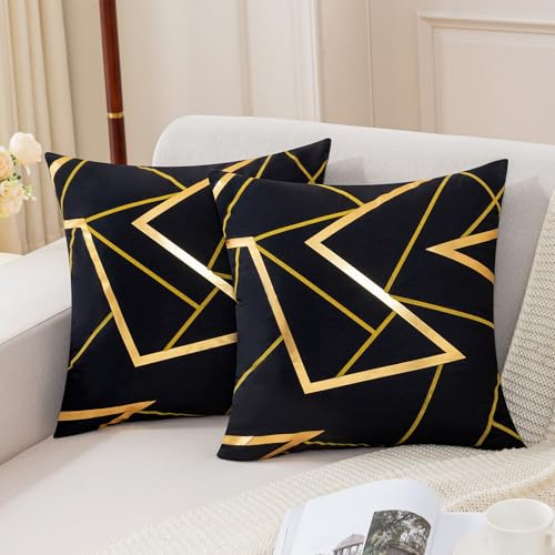 Jayusaror Kissenbezug 45x45 Schwarz Samt Sofakissen Geometrie Golden Dekokissen Weiche Herbst Kissenhülle Kissenbezüge Moderne Zierkissen Bezug für Sofa Schlafzimmer Wohnzimmer 2er Set