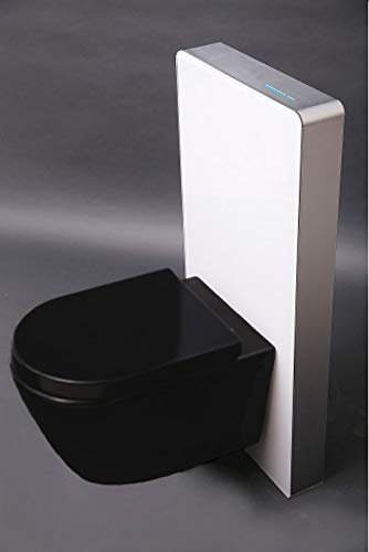 WC-Komplettpaket 39: WC B-8030R Schwarz Matt mit Soft-Close Sitz & Sanitärmodul 805S Weiß