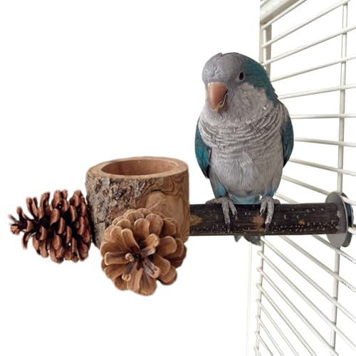 Perchoirs pour cages, distributeur de nourriture en bois 2 en 1, jouet de cage, avec gamelle et barre de jeu pour perruches, pour l'entraînement, les jeux, l'activité à la maison