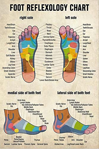 Oudrspo Fußreflexzonen-Diagramm, Metallschilder, Infografik-Poster, Massagetherapeuten-Leitfaden, Plaketten, Vintage-Blechschild, Behandlungsraum, Zimmer, Club, Wanddekoration, 30,5 x 40,6 cm
