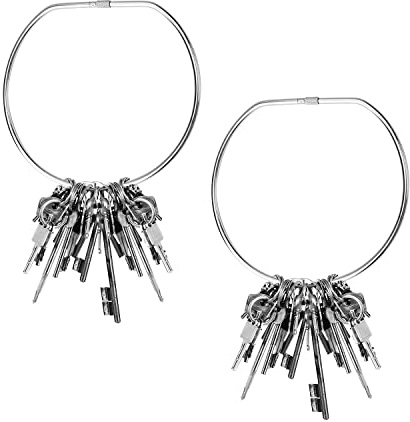 HASLED 150mm Anneau Metallique, 2 pcs Porte Cle, Porte Clef Anneau pour L'affichage de Sacs, Foulards et Accessoires de Mode pour les Magasins, les Stands de Vente ou la Maison