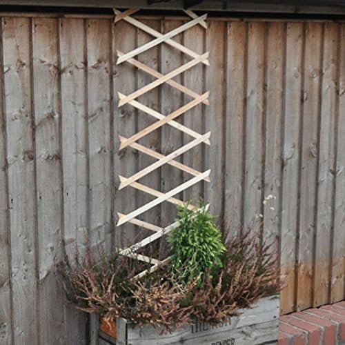 Garden Mile Set of 3 Wooden Garden Trellis For Climbing Plants 180cm X 45cm Expanding Trellis Durable Pine Wood Climbing Plant Support Perfect For Plants And Vegetables