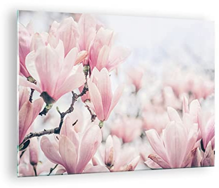 Bilder auf Glas Magnolie Blumen Rosa Glasbild 70x50cm Wandbilder Dekoration Wohnzimmer Schlafzimmer Küche Deko Klein Wanddeko Bild im Glas Wand Kunstdruck Art Modern Wall Decor Glasdruck GAA70x50-4396