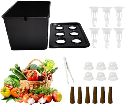 Hydrokultur-Pflanzset für Anfänger, ganzjähriges Anzuchtsystem, Sämlingkasten, Pflanzbehälter, Indoor-Garten-Setup, Wohnung, Balkon, Parterre, Hotel, Salat, Zuhause, Hydrokultur