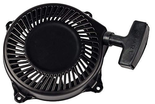 Beehive Filter Recoil Pull Starter für Briggs & Stratton 494782 494846 495766 496650 497830