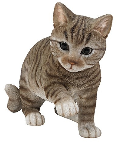 Pacific Giftware Katzen Figur Amerikanisch Kurzhaar - Kitten Dekofigur realistisch Geschenk für für Katzenliebhaber