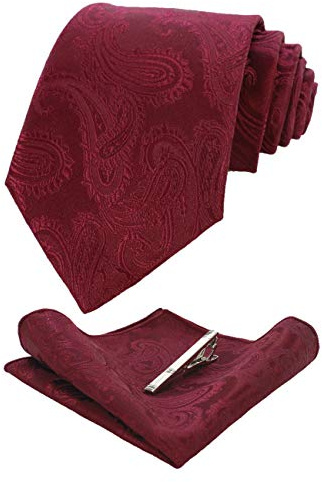 JEMYGINS Graziös Paisley Elegant Herren Krawatte und Einstecktuch mit krawattenklammer Sets