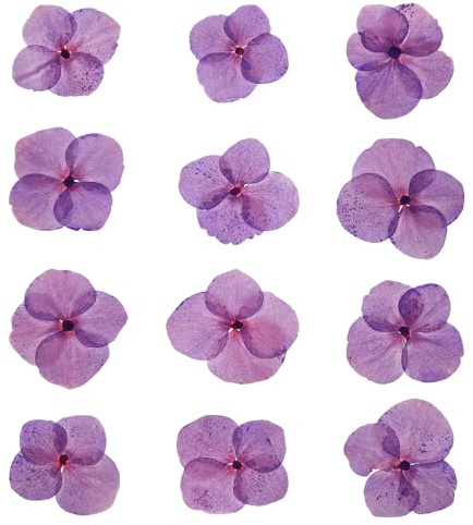 PATIKIL Fleur Pressée Séchée, 48 Pcs pour Artisanat en Résine, Art des Ongles, Cartes, Scrapbooking, Fabrication de Bijoux, Décoration Florale, Décoration de Bougies, Violet Clair | pour Art des Ongles, pour Cartes, pour Scrapbooking, pour Fabrication de Bijoux, pour Décoration Florale