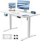 JUMMICO Höhenverstellbarer Schreibtisch mit USB-Ladeanschluss 100 x 60 cm, Schreibtisch Höhenverstellbar Elektrisch, Steh-Sitz Tisch Stehpult Verstellbarer Computertisch,Standing Desk,Weiß