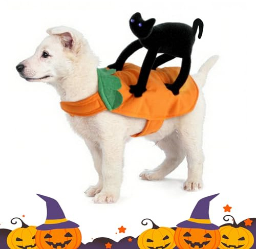Vestiti per animali di Halloween, Funny Pet Dog Suit con Black Cat, Costume di Halloween Cosplay Travestimenti per cani, halloween vestiti per gatti, con gatto tridimensionale, per cani e gatti (M)