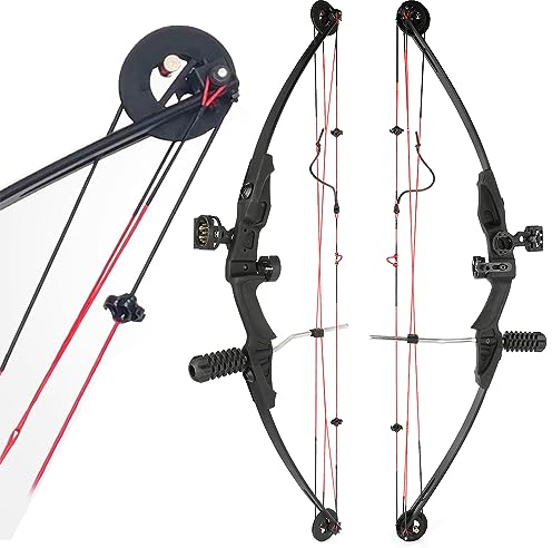 HNZMDY Bogenschießen Compound Bogen und Pfeil Set für Jugendliche und Erwachsene Anfänger 30 Lbs Rechtshänder Bogen mit Allem Zubehör 24,8 Draw Länge, 30 Lbs Draw Gewicht, IBO 130 FPS (Typ 1: Bogen)