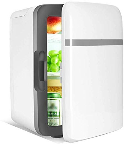 10L Electric Cool Box Portable Freezer Mini Refrigerators AC or DC Powered Cooler 110V 220V 12V DC AC Warmer Cooler 2 Modes for Traveling Camping