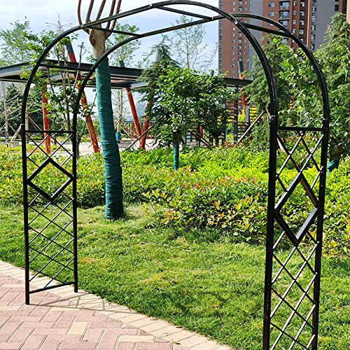 Arche de jardin en fer forgé pour plantes grimpantes - Pergola décorative d'extérieur pour vignes - Installation facile dans le jardin - Noir - 260 cm