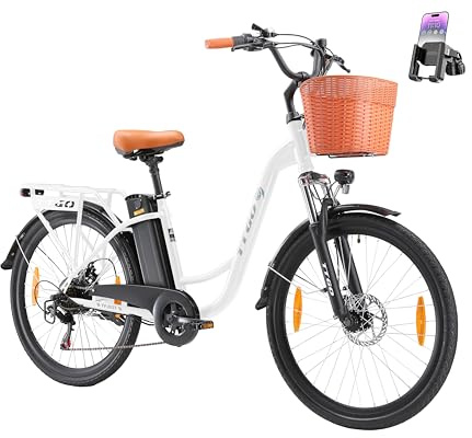 ttgo C2 26 Zoll E-Bike mit Korb, City E-Bike Damen Herren mit 250W Motor 36V 14,5Ah Abnehmbarem Akku, 25 km/h 6-Gang Schaltung, bis zu 100 km Reichweite, Elektrofahrrad für Erwachsene