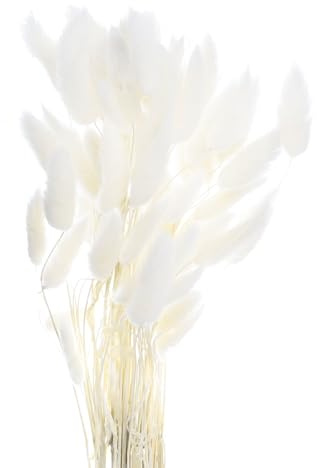 QUARKZMAN Hasenschwanzgras Getrocknet - Weiß, 60 Stück Getrocknete Blumen, 40cm Pampasgras Natürlicher für Florale Hochzeitsdekoration Weihnachten