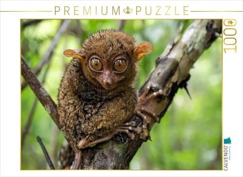 Puzzle · Philippinischer Koboldmaki auf Bohol | 1000 Teile · Lege-Größe 64 × 48 cm · CALVENDO Puzzle