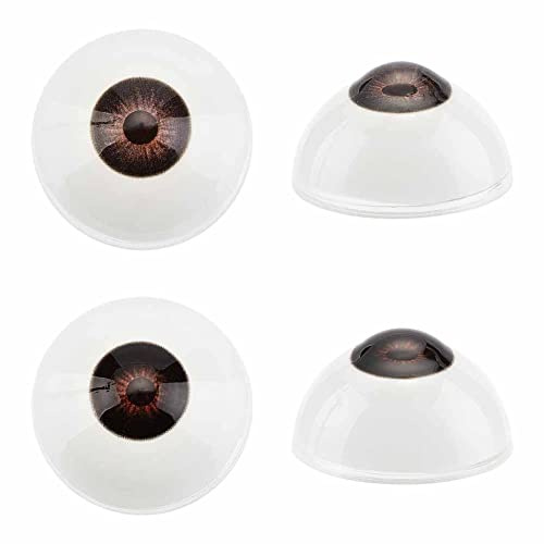 PH PandaHall Realistische Augäpfel Menschliche Augen Große Acryl-Augäpfel Schwarze Augen Horror-Requisiten Kostüm Für Halloween Party Dekoration Kunstskulpturen Requisiten Puppen Schmuckherstellung