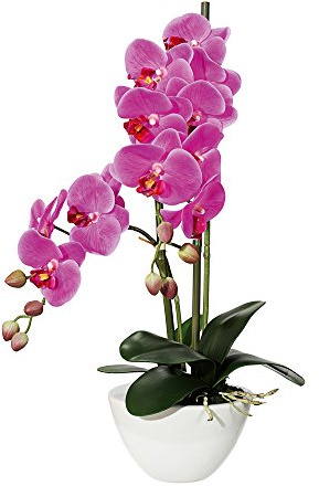 Gasper Kunstpflanze Phalenopsis in Keramikschale, Farbe: Lila, Größe: 14.5 x 8.5 cm, 105055-80