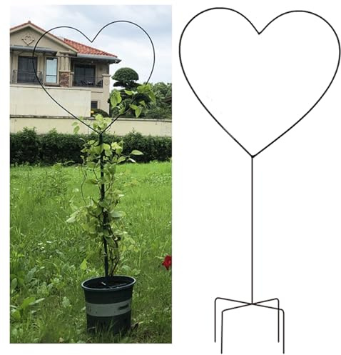 NOIRDA Rankhilfe Herz, Pflanzen Rankhilfe Rankgitter Für Topfpflanzen Für Drinnen Und Draußen, Kleine Metallgitter Für Kletterpflanzen, Gemüse, Blumen, Rosen, Clematis, Efeu(Black)