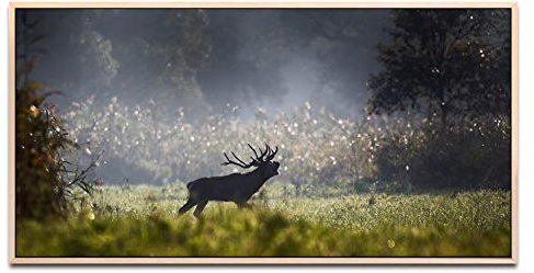Hirsch im Wald ca. 130x70cm Wandbild inklusive Schattenfugenrahmen naturfarbend - Panorama Leinwand Bild XXL Format Wandbilder Wohnzimmer Wohnung Deko Kunstdrucke