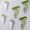 ODOOKON 6 pz Piccolo Fioriera da Parete, Fioriera sospesa e contenitore decorativo geometrico da parete con gancio, Bianca, Trasparente, plastica, 15 * 7cm