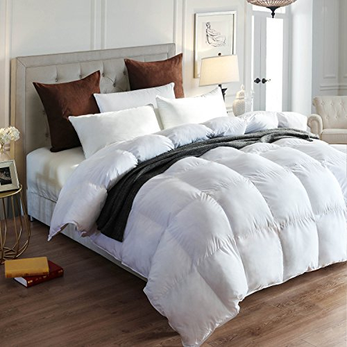 Dorrin Nessin Down Alternative Comforter Duvet Inserts Queen Size 90x90 All Season, Ultra Soft Double Brushed Microfiber Shell, Classic Box Stitched with 8 Corner Tabs