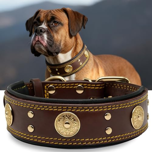 Hundehalsband Leder, 5 cm Breites Robustes Echtes Lederhalsband, Handgefertigt, Weich und Luxuriös, Auffällige Beste Wahl für Große und Mittelgroße Hunderassen, Gold-Braun L