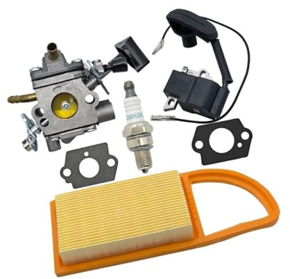 DHSCNOZ Kit de bujías de carburador de Bobina de Encendido Apto for Piezas de soplador de Hojas BR600 BR500 BR550 C1Q-S183