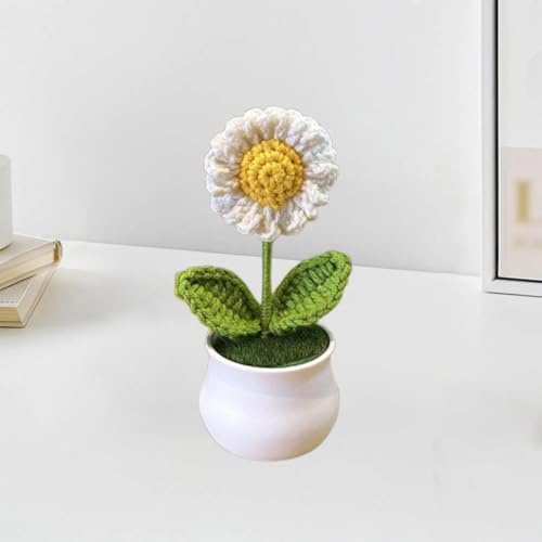 Esyzsss Bouquet di fiori all'uncinetto, fiori lavorati a maglia, graziosi fiori all'uncinetto fatti a mano, mini fiori a sbuffo intrecciati in vaso, piccoli crisantemi, utilizzati per scrivania di