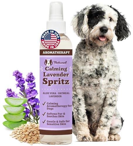 Natural Dog Company Calming Lavender Spritz 8 oz – Hypoallergenic Dog Deodorizing Spray with Aloe & Oatmeal – Refreshes Coat, Soothes Sensitive Skin – Natural Lavender Scent, No Artificial Fragrance