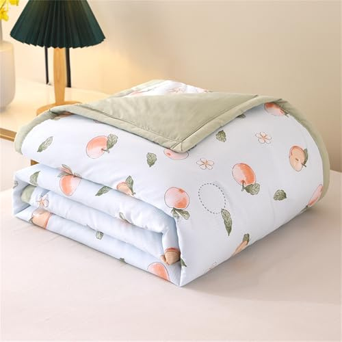 Odot Bettdecke Ohne Bezug Nutzbar Sommer, Waschbare Bettdecke Ohne Bezug Dünne Sommerbettdecke Leicht Doppelseitige Sommerdecke für Bett Sofa (Apfel,150 * 200cm)