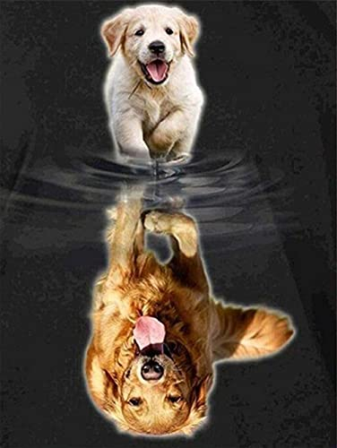 COLORIDO Puzzle 1000 Teile_Hund Golden Retriever_Puzzle für Erwachsene und Kinder ab_für Erwachsene und Kinder_