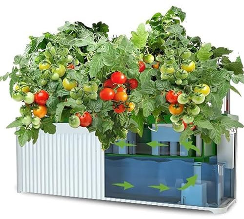 Sistema di coltivazione idroponica, 27 baccelli Smart Garden Planter Germinazione Kit di coltivazione aeroponica con irrigazione automatica e allarme di carenza d'acqua Ideale per un giardino