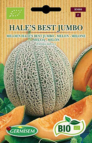 Germisem Bio Graines Melon HALE'S BEST JUMBO