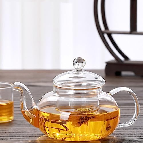 680ml Glass Teapot with Removable Infuser,Stovetop Safe Tea Kettle Blooming and Loose Leaf Tea Maker Tea Brewer for Camping Travel