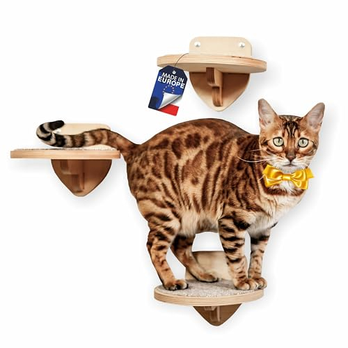 RshPets® Kletterwand Katzen - Set von 3 Katzentreppen - Katzenleiter - Katzen Wandelemente - Runde Stufen für Katze - Durchmesser 20 cm (Helle Farbe)