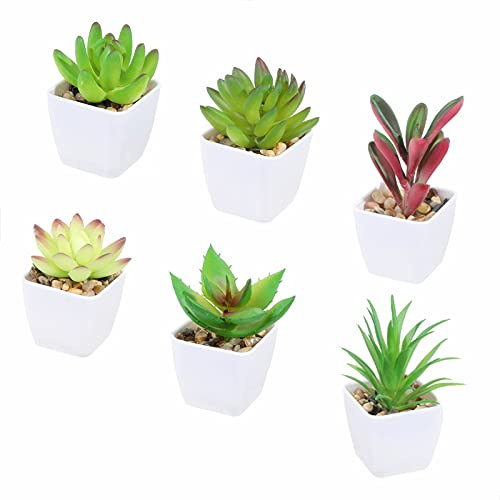 Tifuly 6 Pcs Artificial Potted Succulent Plants, Realistic Small Succulents Fake Greenery Mini Simulation Plant with Melamine White Pot for Home Office School Decoration (Combination 3)
