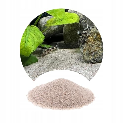 TD STONES Grauer Aquariensand Fein 0,5-1mm - Natürlicher Aquarium Kies Bodengrund für Süßwasser & Meerwasser, Dekosand für Zierfische & Garnelen, Optimales Pflanzen-Wachstum, 8kg