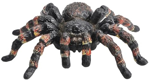 Realistische Spinnenfigur – lebendige Spinnen-Spielzeugfigur, lernende realistische Spinnenverzierung, künstliche Spinne, Halloween-Dekoration, Lernspielzeug für Kinder, perfekt für die Präsentation u