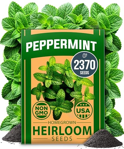 HOME GROWN Non GMO Peppermint Seeds Pack 2,370 Heirloom Mint Seeds for Planting. Grow Peppermint Plants in Your Herb Garden Indoors or Outdoors (Mentha x piperita)