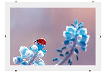 Online-GalleryKing Marco de fotos sin marco, marco con clips, 42 x 30 cm, con cristal acrílico antirreflectante y parte trasera de madera MDF, fotos, pósteres, collage, marcos, todos los tamaños