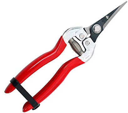 KATUR Tijeras de podar rectas de 50 mm, cuchillas de acero SK-5, podadora de jardín con resorte de absorción de golpes para floristería, recorte de plantas, hierbas hidropónicas, frutas y verduras