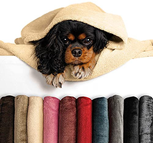 Schecker Bestickte Mikrofaserdecke Premium Hundedecke mit Hundenamen - Viele Farben - Viele Motive - bei 60 Grad Waschbar (Beere, Knochen mit Name)