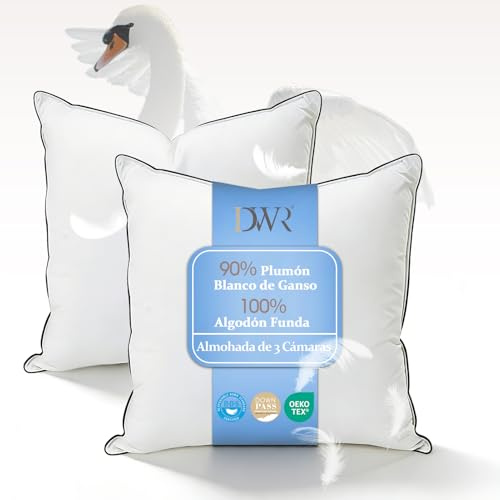 DWR Oreiller en Duvet 60x60 cm Lot de 2 | Duvet d'oie Blanc 90% Extérieur | Mélange de Plumes Intérieur | 100% Coton Biologique | Ergonomique à 3 Chambres | Soutien Moyen | Certifié RDS et Oeko-TEX
