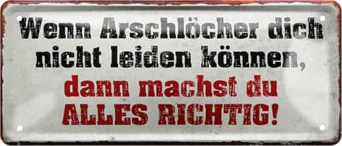 schilderkreis24 Blechschild 28×12 cm – lustige Sprüche – robuste Metall-Wanddeko für Zuhause, Büro & Shop (Wenn Arschlöcher dich nicht leiden können..)